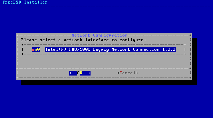 Bsdinstall-configure-network-interface.png