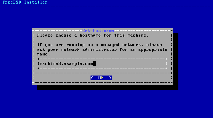 Bsdinstall-config-hostname.png