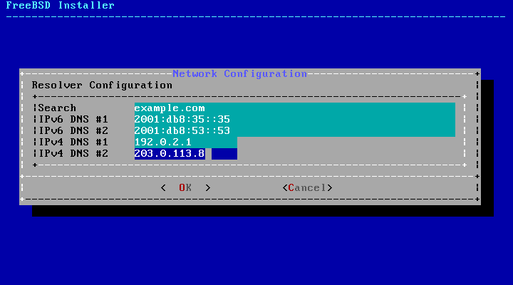 Bsdinstall-configure-network-ipv4-dns.png